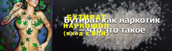 крисы Инта