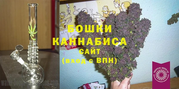 крисы Инта
