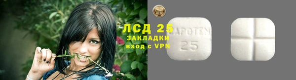 крисы Инта
