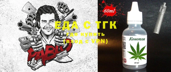 крисы Инта