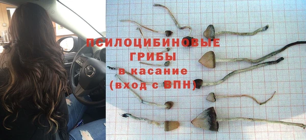 крисы Инта