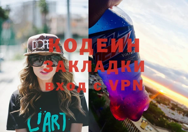 крисы Инта