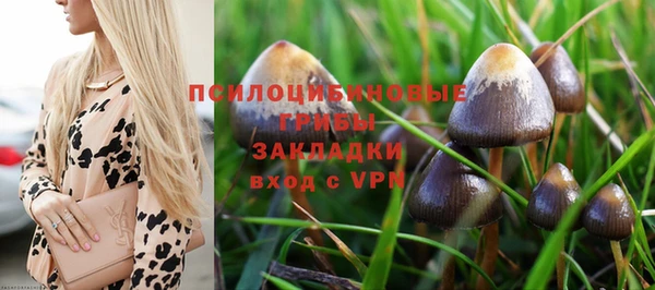 крисы Инта