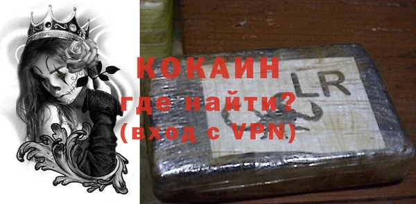крисы Инта