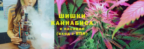 крисы Инта