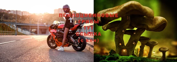 альфа пвп Инсар